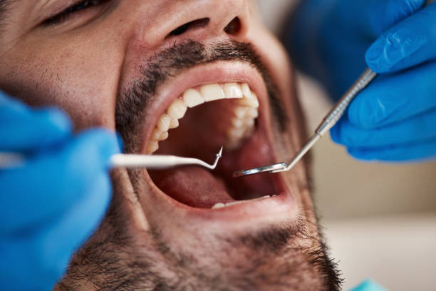 Best Emergency Orthodontic Repairs in White Cloud, MI